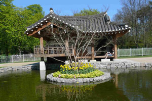Stadtfuhrung Der Koreanische Garten Auf Den Spuren Von