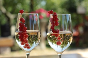Erdbeer-Exkursion - Die Wanderung mit Tasting auf dem