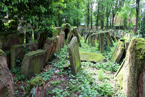 Der jüdische Friedhof Battonnstraße - Von jüdischen Wunderrabbinern, Märtyrern & heiligen Frauen