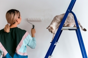 Raus aus der Grauzone - Der Heimwerker-Kurs Farbe für leicht gemachte Malerarbeiten