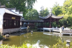 Der Bethmannpark - Von Kamelien, Panthern & Chinesen