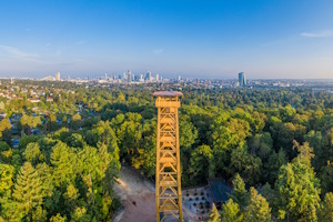 Goetheturm 3.0 - Die Geschichte von Frankfurts liebstem Holzturm