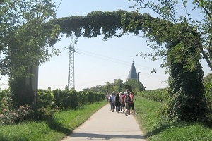 To(u)r zum Rheingau – Die kulinarische Radtour zum Tor des Rheingaus