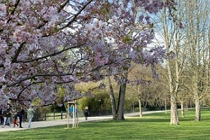 Grüneburgpark & Botanischer Garten Inside - Frankfurts grüner Mittelpunkt