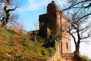 Waldromantik-Wanderung - Romantikwanderung am Rhein - Graf von Ostein und der Niederwald