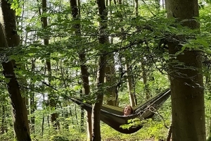 Hängemattenauszeit  im Taunus - Die Seele baumeln & den Wald wirken lassen