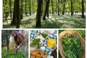 Kräuterwanderung - Essbare Wildpflanzen sammeln mit Picknick