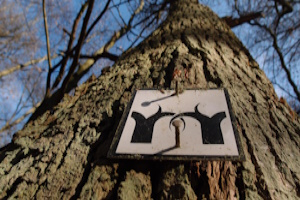 Auf den Spuren des Rheingauer Gebücks - Grüne Grenzen, Landwehr und besondere Waldformen