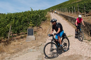 Rheingauer E-Bike-Tour Ost – Klöster, Schlösser & Winzerdörfer