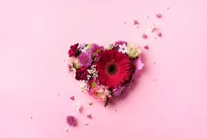 AdobeStock_248686742