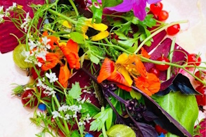 Green Soul Food & Ayurveda – Kochen, Erkennen, Kraft tanken: Deine Zeit für Wohlbefinden