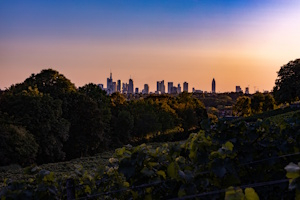 AdobeStock_317063274