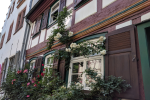 Der Stadtteil, der alle überrascht – Geschichte und Geschichten aus Frankfurt-Höchst