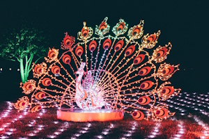 LUMAGICA – Das magische Lichtspektakel für Groß & Klein im Schlosspark Philippsruhe