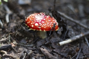 Herbst-Touren